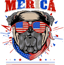 Pugs Rockeros y Patriotas
